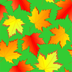 Fototapeta na wymiar seamless asymmetric pattern of autumn maple leaves on a green background, texture, design