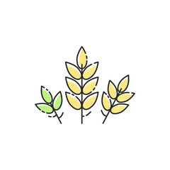 Wheat icon. Vector modern wheat corn sign. 