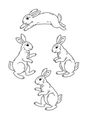 Set of cute cartoon rabbits. line art vector drawing