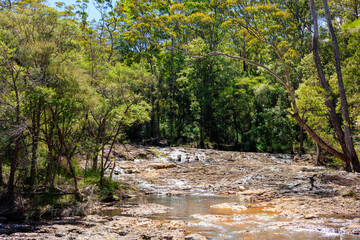 山の上流から流れてくる水