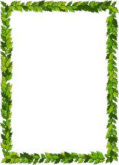 Christmas decorations with holly leaves, Vertical frame with copy space,