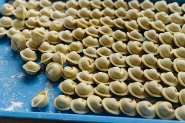 Close-up of many handmade dumplings on a tray in the freezer.