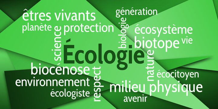 Nuage de Mots Écologie v6