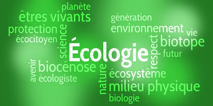 Nuage de Mots Écologie v7