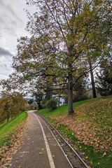 Fototapeta na wymiar autumn landscape with red yellow golden leaves and a rail in Killesberghöhe park Killesberg Stuttgart