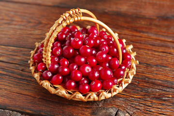 Forest red cranberries