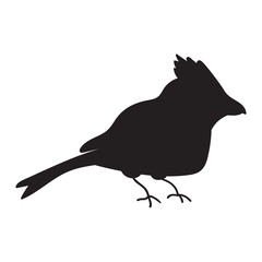 Northern Cardinal. Silhouette.  Vector illustration on white background.