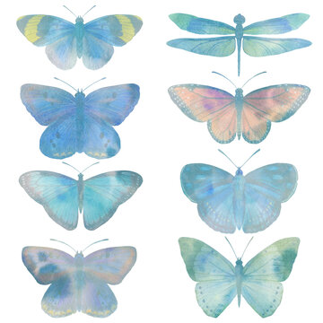 Collection of watercolor butterflies. set of insects with wings