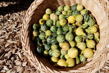 Small pumpkins in a wicker basket.