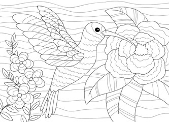 Fototapeta premium Hummingbirds coloring graphic black white sketch illustration vector