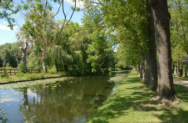 Fototapeta na wymiar Ville de Chantilly, Canal de Manse, cours d'eau ombragé et nénuphars, Oise, France