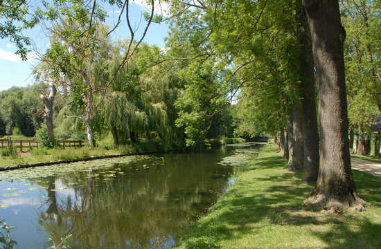 Ville de Chantilly, Canal de Manse, cours d'eau ombragé et nénuphars, Oise, France