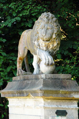 "Piste des Lions", Domaine de chantilly, un des 2 lions sculptés par Legrand en 1707 encadre l'entrée de cette piste d'entrainement des pur-sang, Oise, France