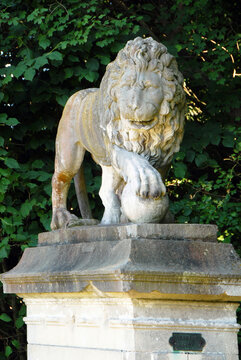 "Piste des Lions", Domaine de chantilly, un des 2 lions sculpt&eacute;s par Legrand en 1707 encadre l'entr&eacute;e de cette piste d'entrainement des pur-sang, Oise, France