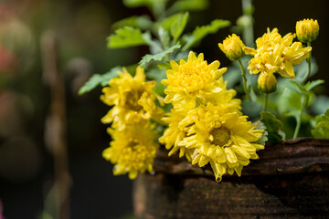 bouquet of flowers