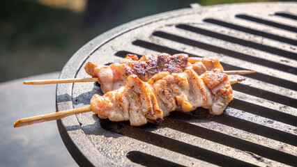 Pieces of meat on a wooden skewer are cooked on the grill grate of a street fast food restaurant.
