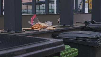 Loaf of Sliced Stale Bread Thrown Away By Dumpster Bins