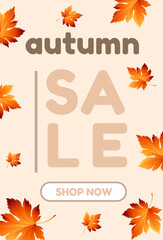 Fototapeta na wymiar Autumn Sale background, banner, poster or flyer design. Vector illustration with bright beautiful leaves