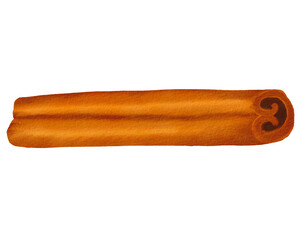 Watercolor Cinnamon stick