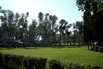 Obraz premium 自然公園