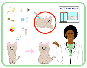 A black female veterinarian explains a vaccine to  cat.