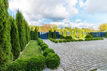 Lawn with thuja on border with pedestrian pathway made of paving slabs in park
