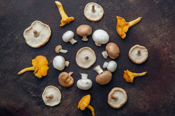 edible mushrooms in a circle, top view, different types like champignons, chanterelles and shimeji