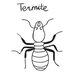 Termite. Outline icon. Nature. Insects. Vector design.