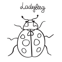 Ladybug. Outline icon. Insects. Vector design.