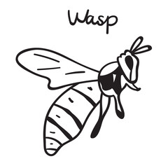 Wasp. Outline vector illustration. Insects. Graphic design. Black color.