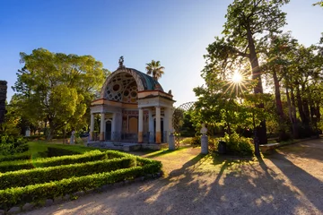 Foto op Plexiglas Path with vibrant green trees in city park, Villa Giulia. Palermo, Sicily, Italy. © edb3_16