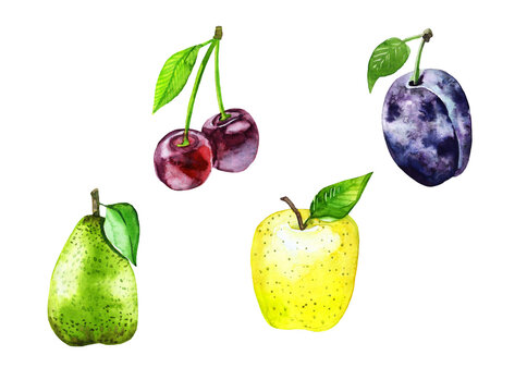 Png set of illustrations fruit apple pear cherry plum watercolor on a transparent background