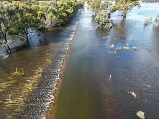 Rural, Murray River, Riverina, Irrigation, Flood, Deniliquin, Crop