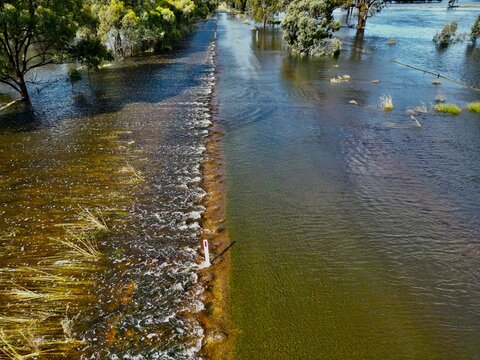 Rural, Murray River, Riverina, Irrigation, Flood, Deniliquin, Crop