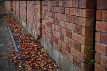レンガの壁とカラフルな落ち葉