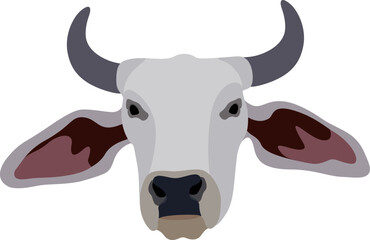 Zebu bull. Brahman cattle. Vector illustration. White male Indian cow. A symbol for Indian religious festivals - obrazy, fototapety, plakaty