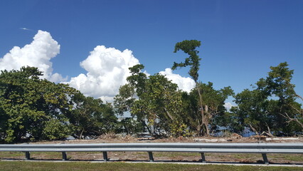 Fototapeta na wymiar Miami, Florida United States. View while road trip. Vacation.