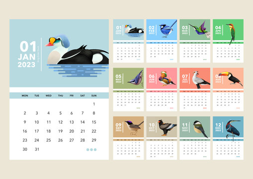 Calendar 2023 , calendar birds design , week start Sunday  template vector.