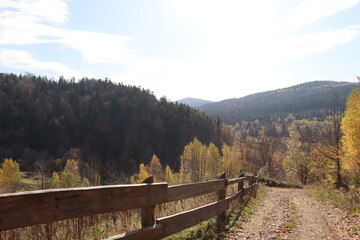 A forest at the beginning of the Carpathian Mountains