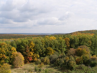 A forest at the beginning of the Carpathian Mountains