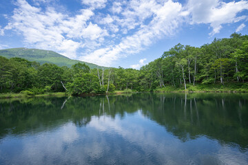 初夏の笹ヶ峰トレッキングコースと清水ヶ池