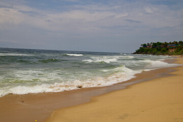 beach with palm trees