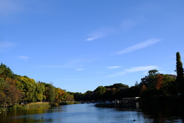 On a fall day, trees beginning to change color, a park with a pond