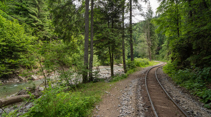 Vintage steam train chugging through the Carpathians Mountains in Maramures Romania.