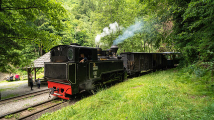 Fototapeta na wymiar Vintage steam train chugging through the Carpathians Mountains in Maramures Romania.