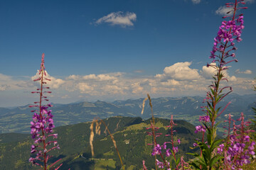 Blick vom Kehlstein auf das Berchtesgadener Land