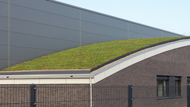 Klimaschutz - begrüntes Dach - moderner Industriebau