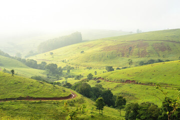 Obraz premium View of the valley with fog, grass and some trees, landscape in the countryside of the state of Sao Paulo, city of Bragança Paulista, Brazil