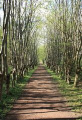 Park of Schönau in Spring, Germany
