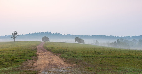 Obraz premium Colorful in the morning at Phu Khieo wildlife Sanctuary, Thailand.